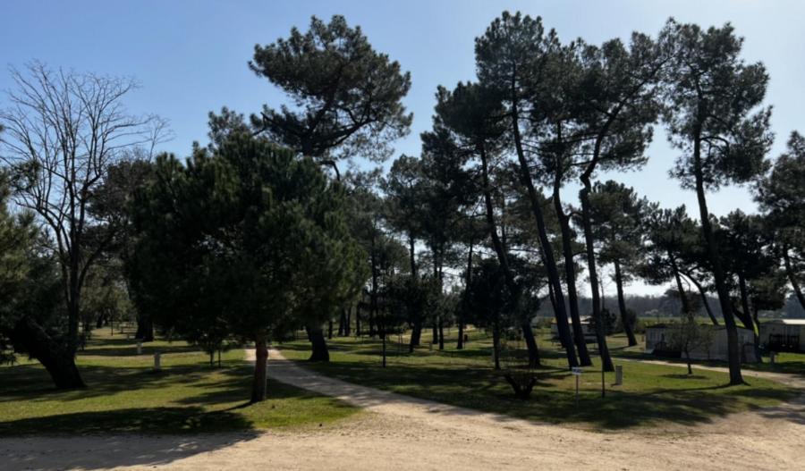 Camping La Maltournee Sigloy Eksteriør billede