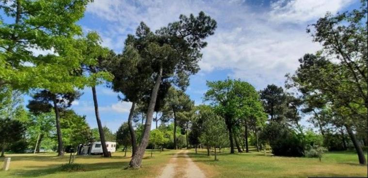 Camping La Maltournee Sigloy Eksteriør billede